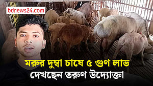 সাতটি দিয়ে শুরু, তরুণ উদ্যোক্তার খামারে এখন ৪০ দুম্বা