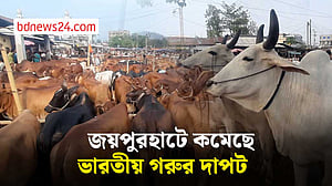 জয়পুরহাটের কোরবানির হাট: বিক্রেতারা বলছেন দাম কম, ক্রেতারা বলছেন বেশি