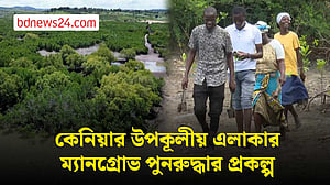 কেনিয়ার মিকিন্দানি উপকূলীয় এলাকার ম্যানগ্রোভ পুনরুদ্ধার প্রকল্প আশা জাগাচ্ছে