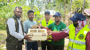 খাগড়াছড়িতে আহত অবস্থায় লজ্জাবতী বানর উদ্ধার