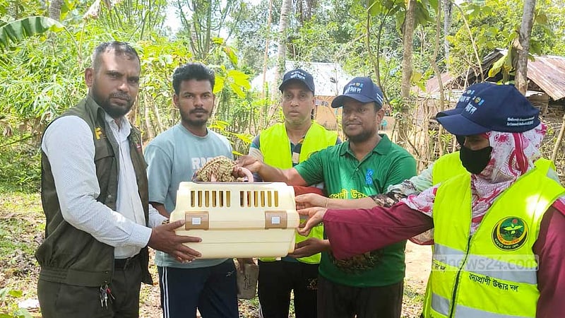 খাগড়াছড়িতে আহত অবস্থায় লজ্জাবতী বানর উদ্ধার