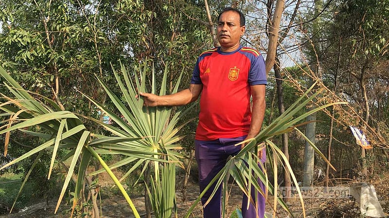 তাল বীজ রোপণে দিন শুরু, চারার যত্নে দিন শেষ খেদমতের