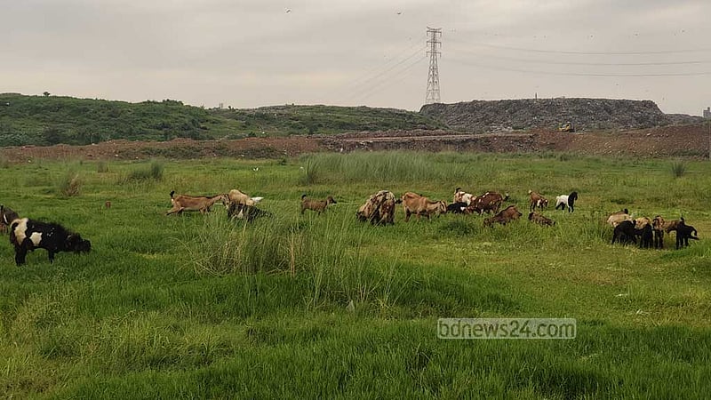 মাতুয়াইল ল্যান্ডফিল: বর্জ্যের সঙ্গে পাল্লা দিয়ে বাড়ছে নানা ঝুঁকি
