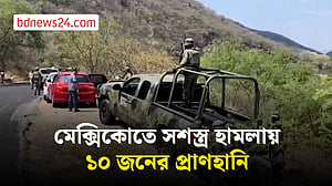 মেক্সিকোতে সশস্ত্র হামলায় শিশুসহ ১০ জন নিহত