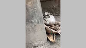 মোহাম্মদপুরে সড়কে মিলল খুলি-হাড়
