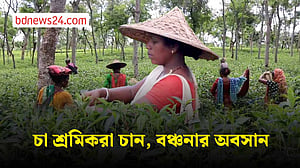 মৌলভীবাজারের চা শ্রমিকদের দাবি ভূমি অধিকার
