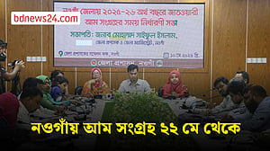 নওগাঁয় ২২ মে থেকে আম সংগ্রহ করা হবে