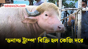ভাইরাল মহিষ ‘ডনাল্ড ট্রাম্প’ বিক্রি হয়ে গেল কেজি দরে
