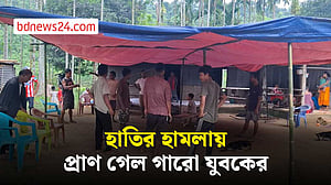 নেত্রকোণায় হাতির হামলায় যুবকের মৃত্যু