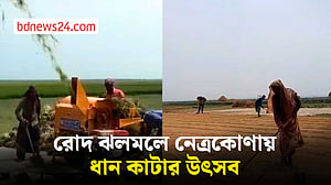 নেত্রকোণায় ধান কাটা-মাড়াইয়ে ব্যস্ত কৃষক
