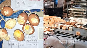 স্কুল ফিডিংয়ে পচা খাবার, মাদারীপুরে গ্রেপ্তার ২