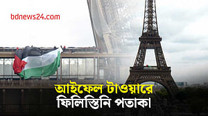 আইফেল টাওয়ারে উড়ল ফিলিস্তিনি পতাকা
