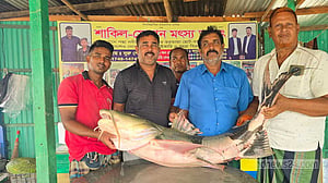 পদ্মার এক বাঘাইড় ৬৬ হাজারে বি‌ক্রি