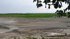 পদ্মা ব্যারেজ: স্বপ্নের ঠিকানা, না নতুন বোঝা?