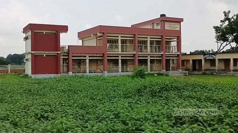 রাজবাড়ীতে ‘আশ্বাস দেওয়া’ চাকরি না পেয়ে স্কুলের আঙিনায় পাট চাষ