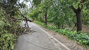 সাতক্ষীরায় ঝড়ে গাছ ভেঙে শিশু নিহত, উপকূলে ঘরবাড়ি বিধ্বস্ত