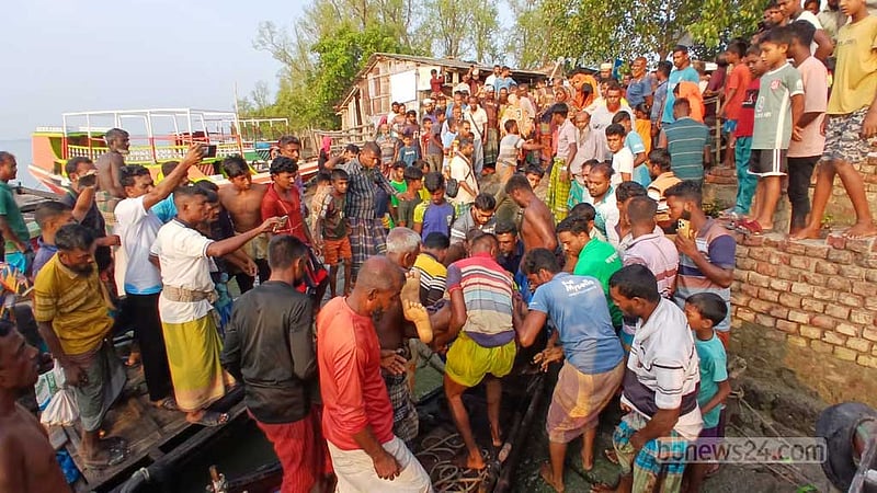 ঝোপের আড়াল থেকে ঝাঁপিয়ে পড়ল বাঘ, আহত মৌয়াল হাসপাতালে