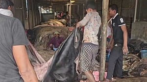 সাভার চামড়া শিল্পনগরীতে চামড়া ঢুকেছে সোয়া ৫ লাখ