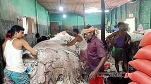 চামড়া নিয়ে বিপাকে শেরপুরের মৌসুমী ব্যবসায়ীরা