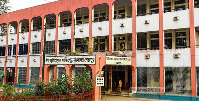 শেরপুরে যৌতুকের দাবিতে স্ত্রীকে নির্যাতন: স্বামীর ৩ বছরের কারাদণ্ড