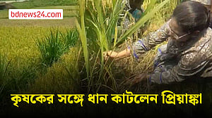 শেরপুরে কৃষকের সঙ্গে ধান কাটলেন সংসদ সদস্য প্রিয়াঙ্কা