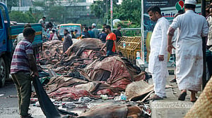কোরবানির পশুর চামড়া সংগ্রহ