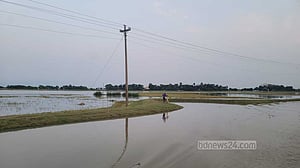 হাওরের কান্না: প্রাকৃতিক নাকি ভুল পরিকল্পনার খেসারত?
