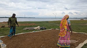 হাওরে ফসলডুবি: যত্রতত্র বাঁধ এখন গলার কাঁটা
