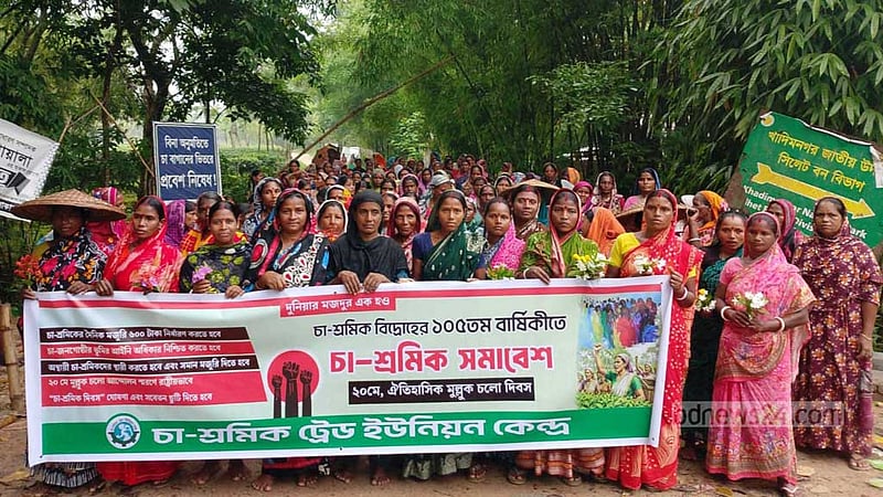 চা শ্রমিকদের ‘মুল্লুক চলো’ আন্দোলনের রাষ্ট্রীয় স্বীকৃতির দাবি