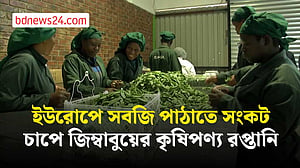 ইরান সংঘাতের প্রভাবে জিম্বাবুয়ের কৃষিপণ্য রপ্তানিতে বাড়তি চাপ
