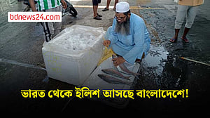 দুই মাসে ভারত থেকে এসেছে ৩৫২ মেট্রিক টন ইলিশ