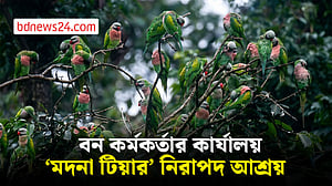 ‘মদনা টিয়ার’ কলকাকলিতে মুখরিত খাগড়াছড়ির যে এলাকা