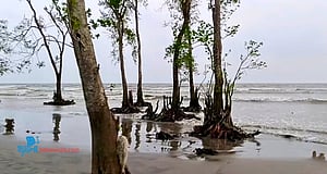 কুয়াকাটায় পরিবারের সঙ্গে একদিন