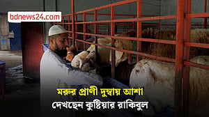 কুষ্টিয়ায় মহিষ ছেড়ে দুম্বা পেলে ঘুরে দাঁড়ালেন রাকিবুল