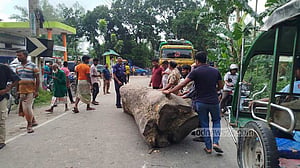 সারের দাবিতে গাছের গুঁড়ি ফেলে সড়ক অবরোধ, ‘সংকট নেই’ বলছে প্রশাসন