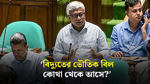 বিদ্যুতের ‘ভৌতিক বিল’ নিয়ে সংসদে প্রশ্ন