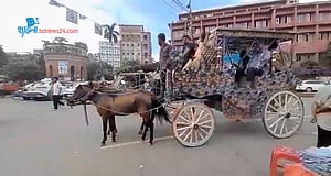 পুরান ঢাকার 'টমটম'