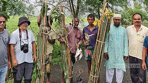 শেরপুরে শিকারিদের কাছ থেকে পাখি ধরার সরঞ্জাম জব্দ, ১০ বক উদ্ধার