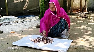 শেরপুরে ১০ বছরের জমানো টাকা জর্দার কৌটায়, খুলে দেখলেন টুকরা টুকরা