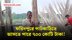 পাটকাঠির চাহিদা বাড়ায় এবার ফরিদপুরে ৭০০ কোটি টাকার আয় হতে পারে বলে ধারণা করছে কৃষি বিভাগ