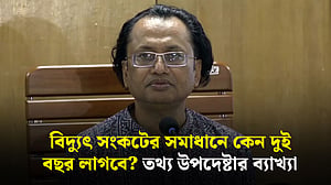 বিদ্যুৎ সংকটের কারণ কী? যা বললেন তথ্য উপদেষ্টা