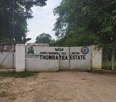 বনধ সংস্কৃতি চা উদ্যোগের ক্ষেত্ৰে নতুন হুমকিঃ এনইটিএ