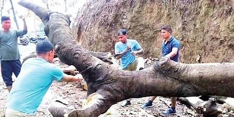 ঝড়,বৃষ্টির দাপটে ব্যাপক ক্ষয়ক্ষতি মহানগরীতে