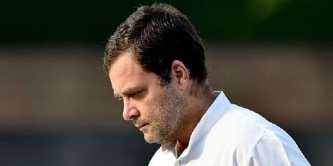 দল সভাপতির পদে থাকতে গররাজি রাহুল গান্ধী