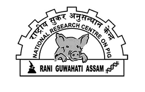 আইসিএআর-ন্যাশনাল রিসার্স সেন্টার অন পিগ,গুয়াহাটি রিক্ৰুটমেন্ট