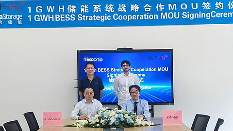 Trina Storage and AMP-lify executives beneath a 1 GWh BESS MoU signing banner.