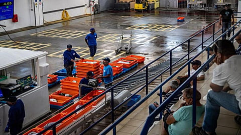 A renewable energy business has been established by Eskom Green Energy to expand clean electricity supply and diversify generation technologies