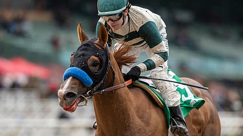 Mucho Gusto and Joseph Talamo win the Grade III, $150,000 Robert B. Lewis Stake horse race Saturday, Feb. 2, 2019, at Santa Anita in Arcadia, Calif. (Benoit Photo via AP)