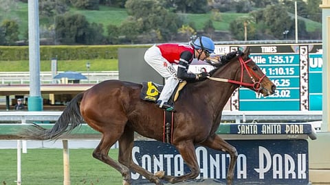Escape Clause is running against Dream Tree in today’s Santa Monica.