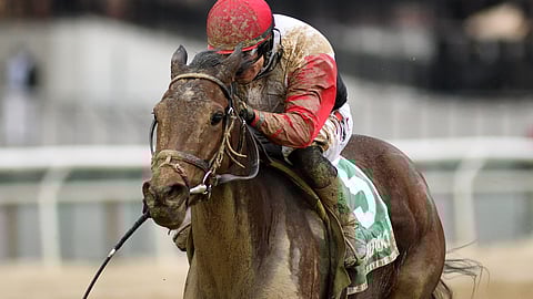Split Time, who won the Bay Ridge in December, today runs in the Heavenly Prize Invitational.